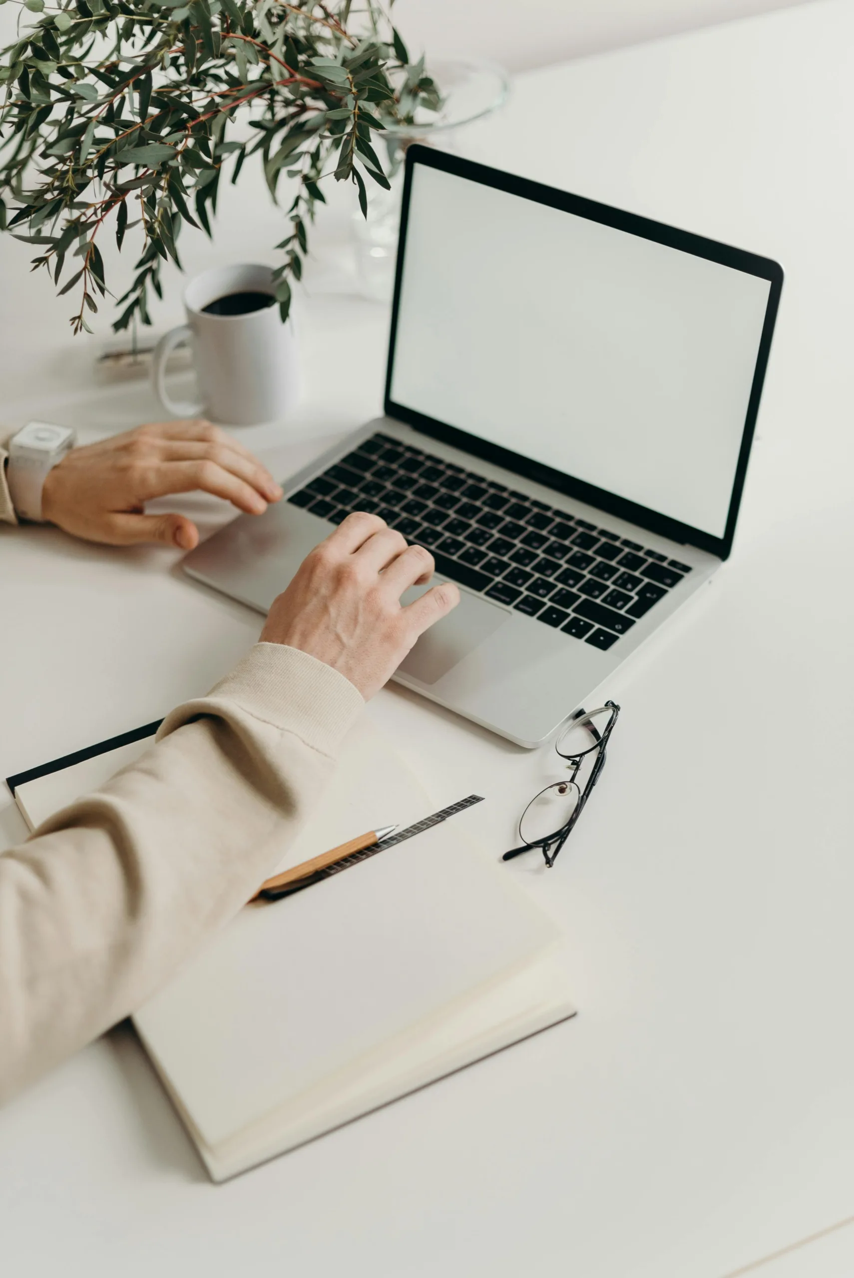 A clean and modern workspace featuring a laptop, houseplant, and notebook.